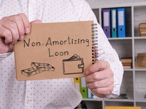 Exploring Non-Amortizing Loans: Risks and Benefits