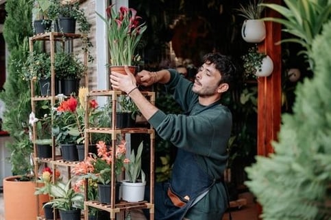 Seeking the Ideal Funding Path for Your Small Business