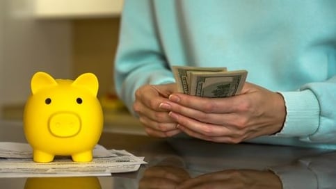 Discovering the Average American's Spending Habits: Insights from BLS Consumer Expenditure Survey