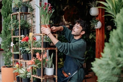 Seeking the Ideal Funding Path for Your Small Business